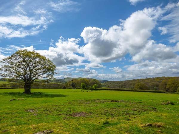 Вілла Brynhir Farm Лландріндод-Веллс Екстер'єр фото